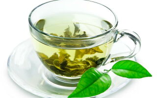 Зеленый чай: польза, вред и способы употребления